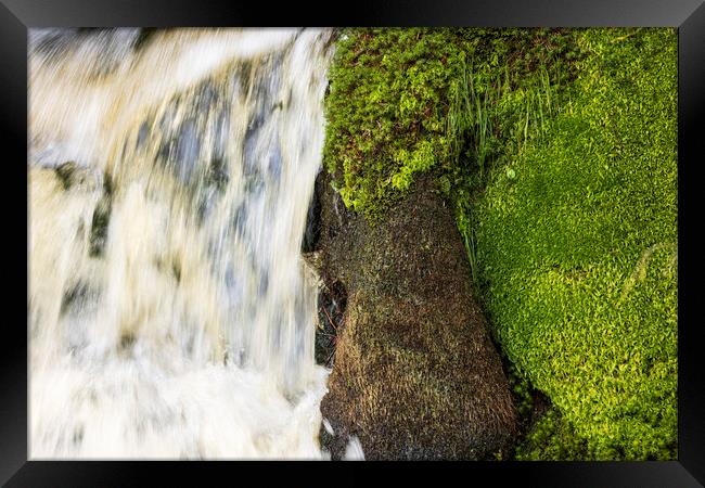 Waterfall moss abstract Ireland Framed Print by Phil Crean