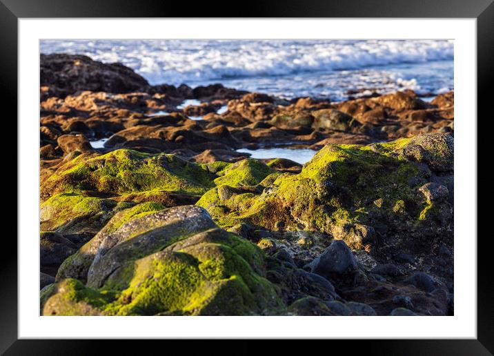 Shoreline rocks and sea Tenerife Framed Mounted Print by Phil Crean