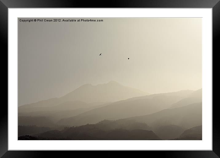 Misty morning birds and Teide, Tenerife Framed Mounted Print by Phil Crean