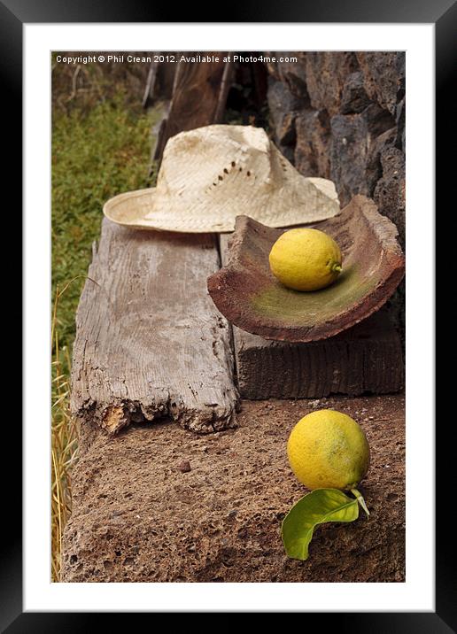 Lemons and straw hat found still life Framed Mounted Print by Phil Crean