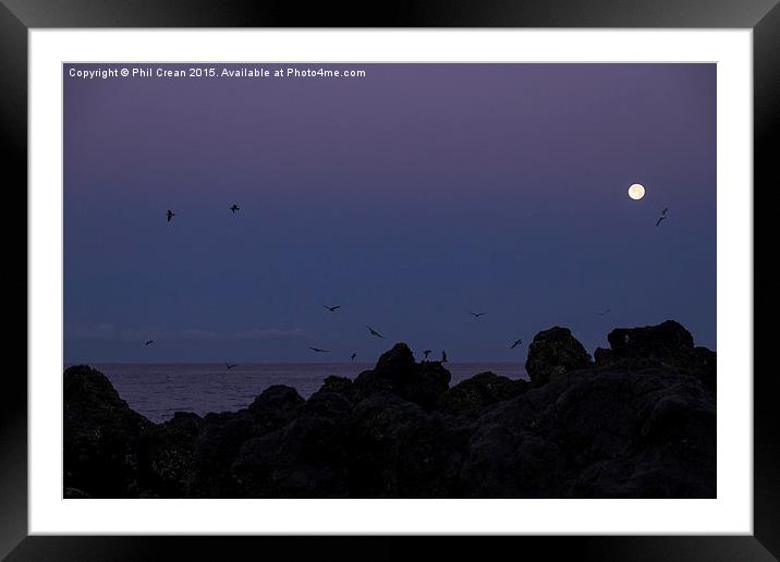  Full moon, seagulls, rocks, at the coast at dawn Framed Mounted Print by Phil Crean