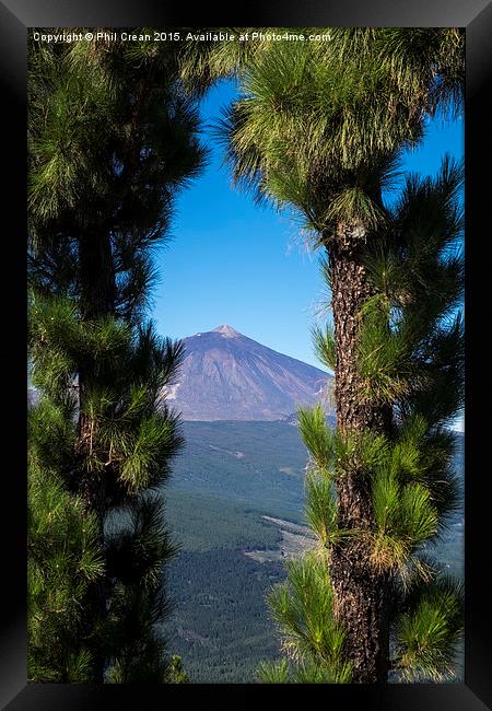  View of Mount Teide through arch of pine trees, T Framed Print by Phil Crean