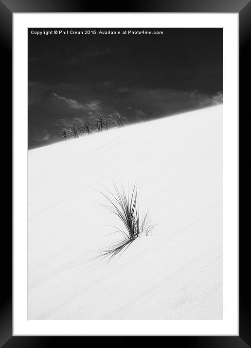  Sand dune and grass, New Zealand Framed Mounted Print by Phil Crean