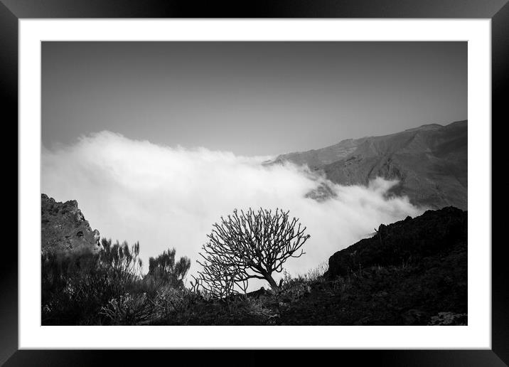 Cloud and shrub on mountain ridge Framed Mounted Print by Phil Crean