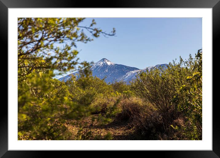 Light snow cover on Teide, Tenerife Framed Mounted Print by Phil Crean