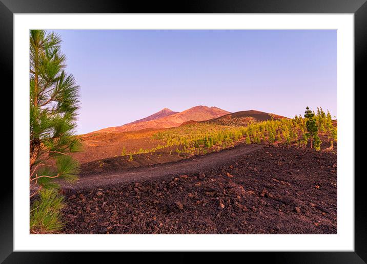 Teide and Pico Viejo at sunset, Tenerife Framed Mounted Print by Phil Crean