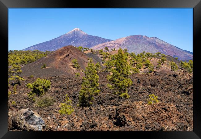 Mount Teide volcano, Tenerife Framed Print by Phil Crean
