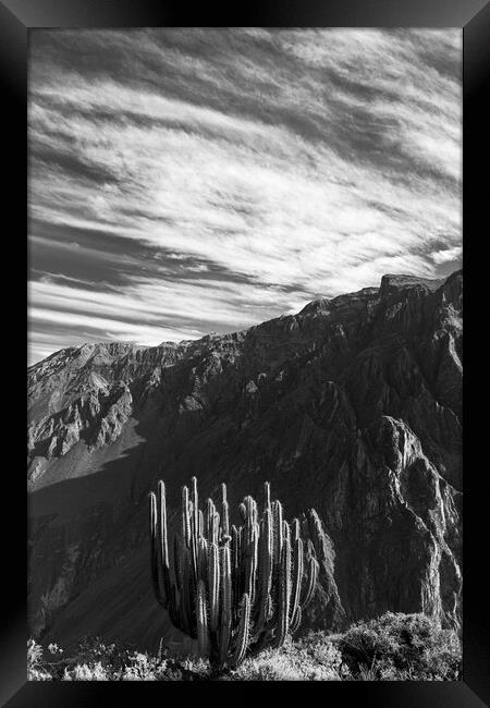 Colca canyon in the Andes, Peru Framed Print by Phil Crean