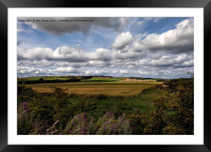 Rural Northumberland Framed Mounted Print by Jim Jones