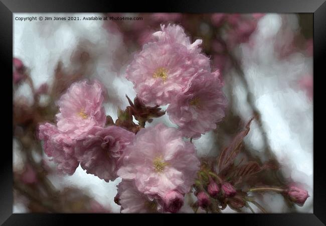 Dreamy Soft Cherry Blossom Framed Print by Jim Jones