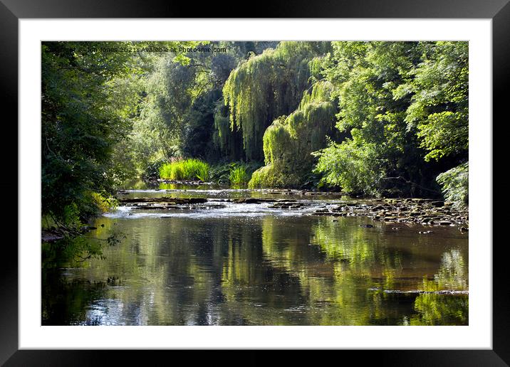 Shades of Green Framed Mounted Print by Jim Jones