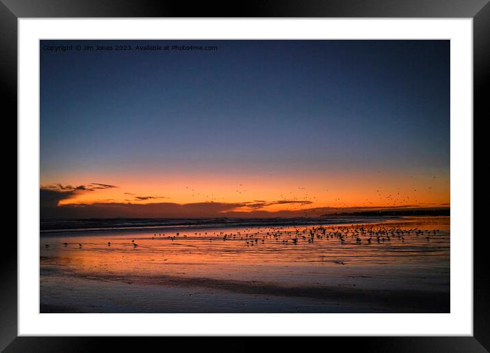 Silhouetted Seagulls on the Sand before Sunrise Framed Mounted Print by Jim Jones