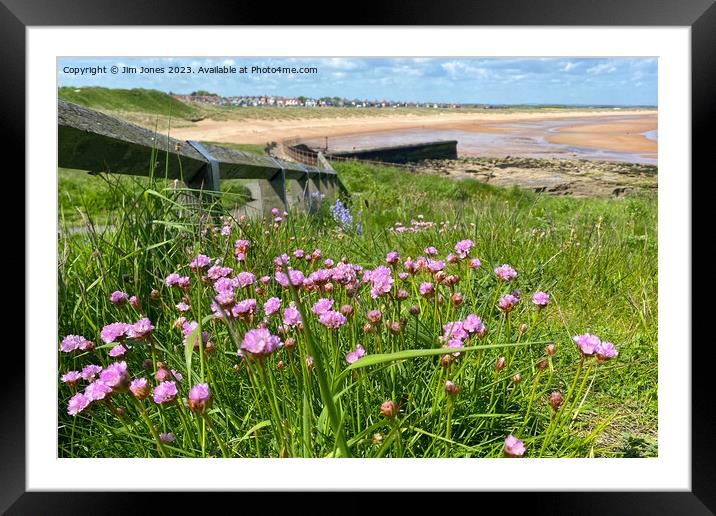 Wild Sea Thrift on the path to the beach Framed Mounted Print by Jim Jones
