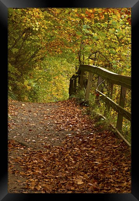 Golden Autumn Woodland Walk Framed Print by Jim Jones