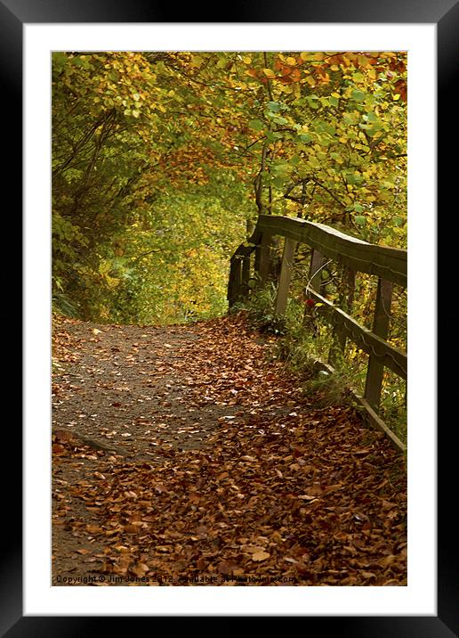 Golden Autumn Woodland Walk Framed Mounted Print by Jim Jones