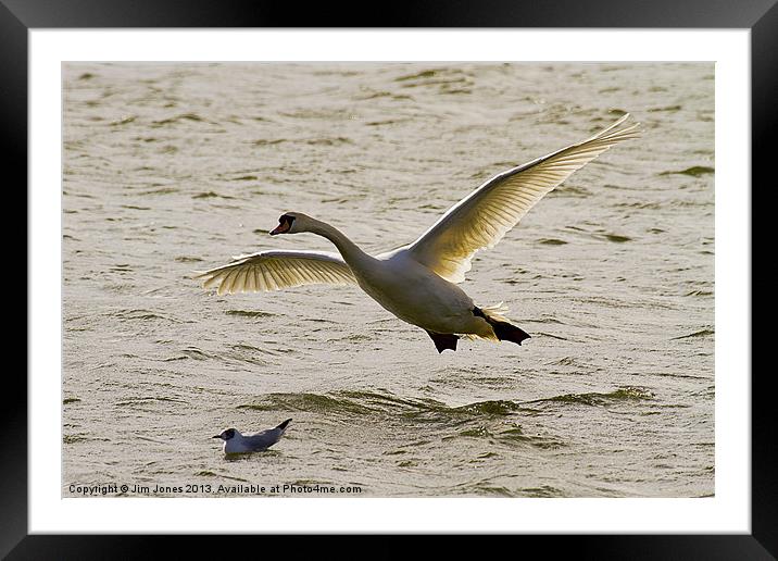Coming in to land Framed Mounted Print by Jim Jones