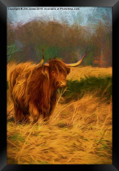  Highland cow with painterly effect Framed Print by Jim Jones