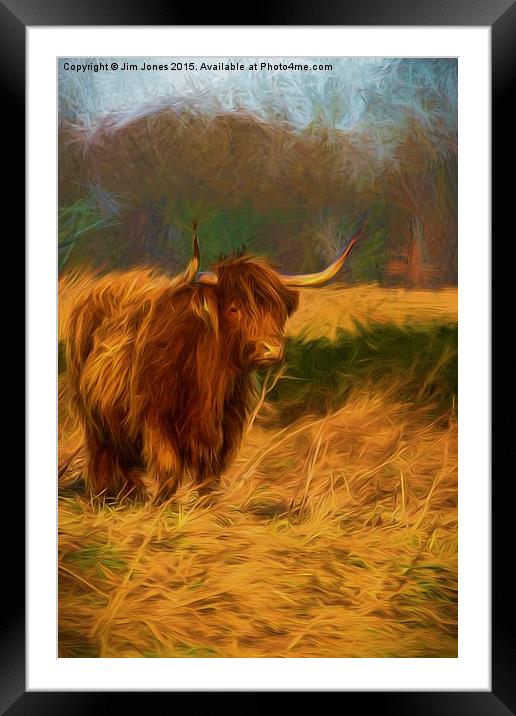  Highland cow with painterly effect Framed Mounted Print by Jim Jones
