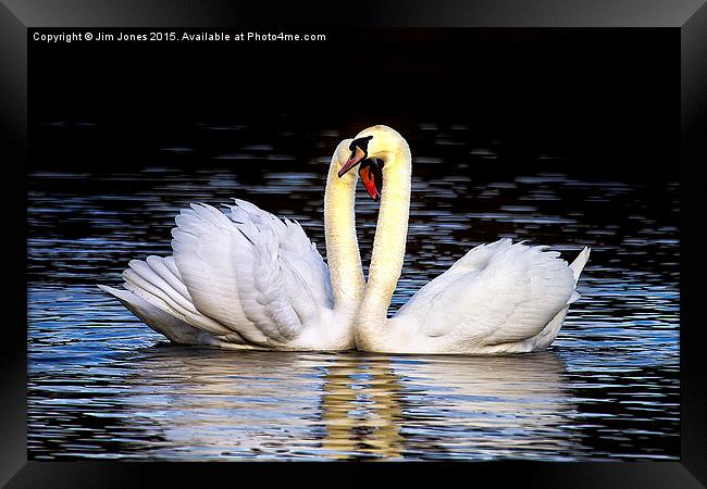  Love is in the air Framed Print by Jim Jones