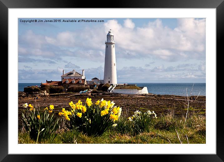  St Mary's Island in springtime Framed Mounted Print by Jim Jones