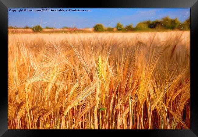 Wheat among the Barley Framed Print by Jim Jones