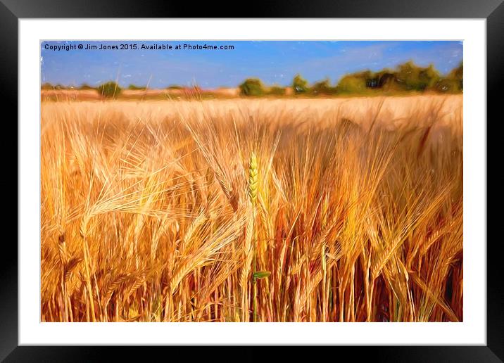  Wheat among the Barley Framed Mounted Print by Jim Jones