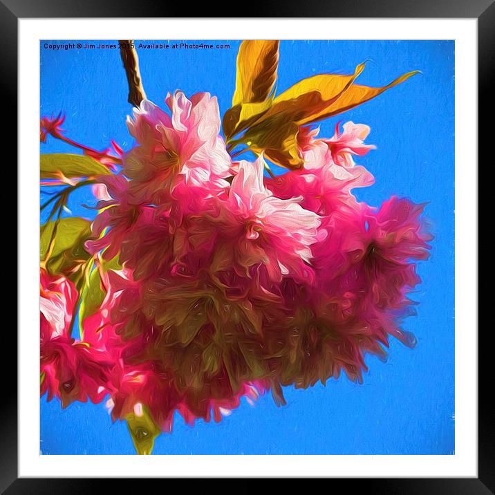  Artistic Cherry Blossom Framed Mounted Print by Jim Jones