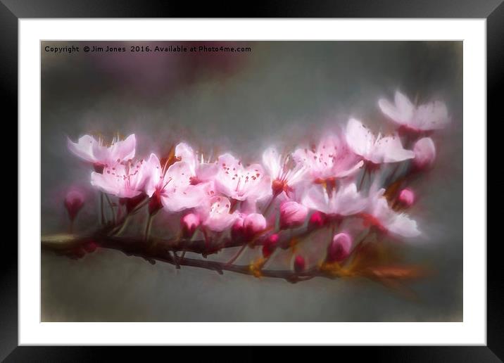 Dreamy Spring Time Framed Mounted Print by Jim Jones