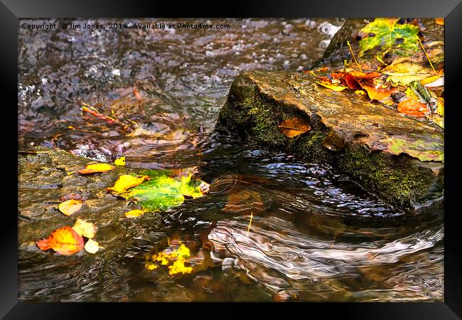 Clear water and autumn leaves Framed Print by Jim Jones