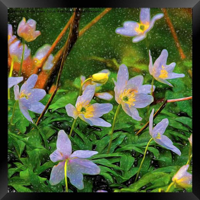 Artistic Wood Anemone Framed Print by Jim Jones