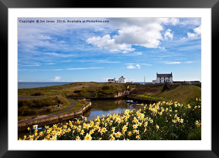 Harbour at Seaton Sluice Framed Mounted Print by Jim Jones