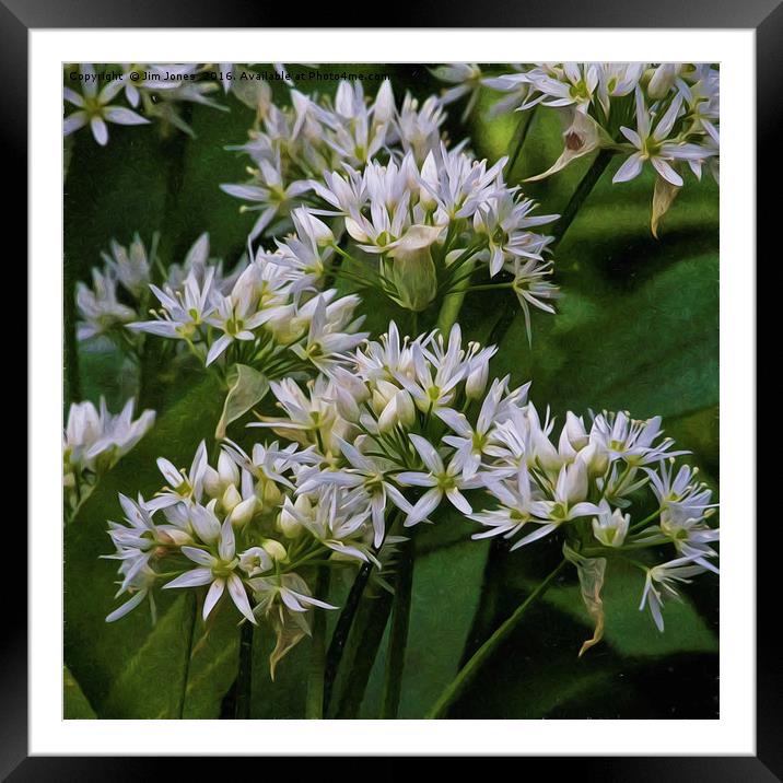 Artistic Wild Garlic Framed Mounted Print by Jim Jones