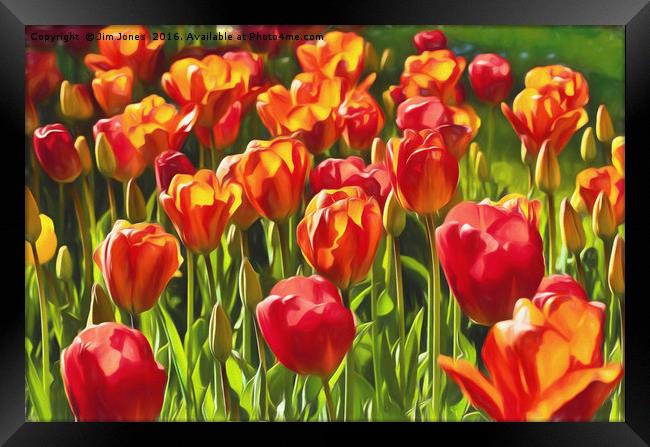 Artistic Tulips Framed Print by Jim Jones