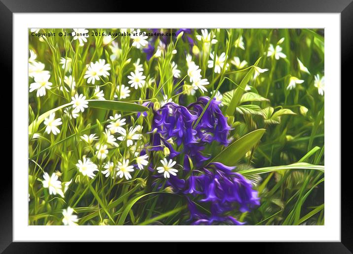 Artistic Greater Stitchwort and Bluebells Framed Mounted Print by Jim Jones