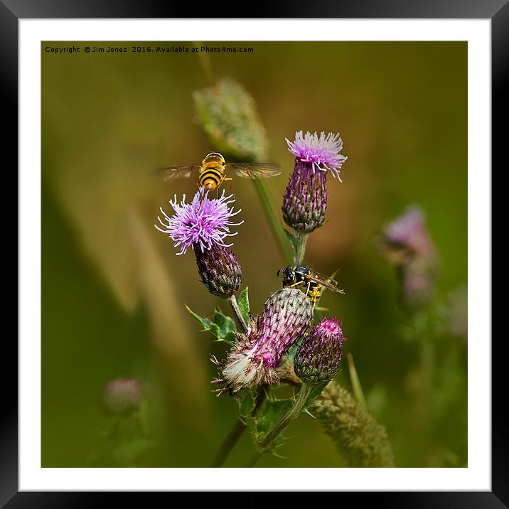 Just buzzin' about Framed Mounted Print by Jim Jones