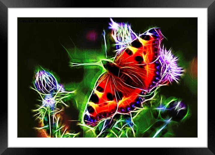 Electric Peacock Butterfly Framed Mounted Print by Jim Jones