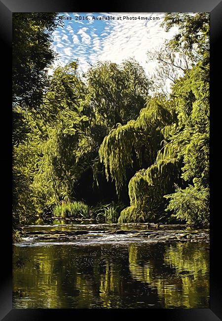 Artistic Weeping Willows and Water Framed Print by Jim Jones