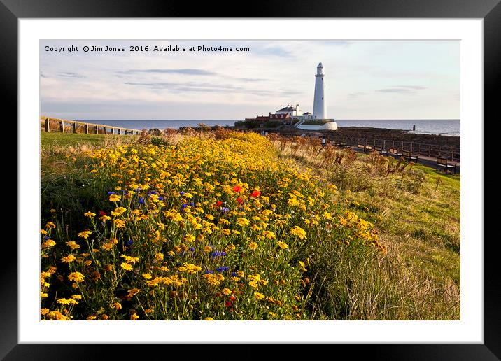 Wild flowers and St Mary's Island Framed Mounted Print by Jim Jones