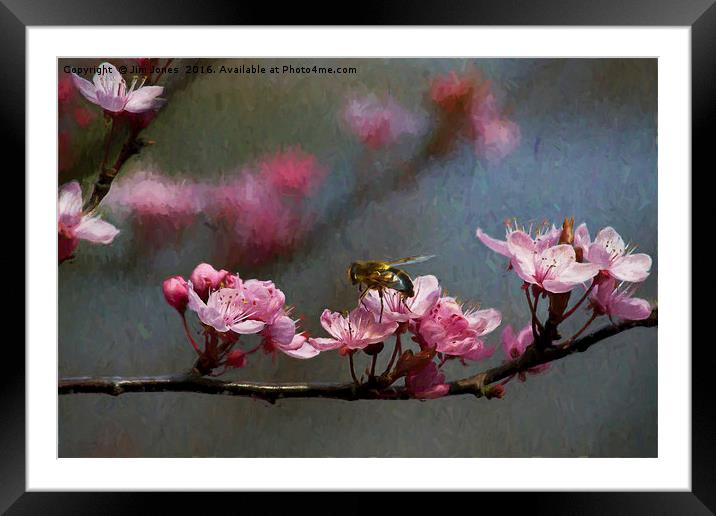 Artistic springtime Framed Mounted Print by Jim Jones