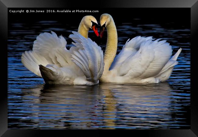 Young Love Framed Print by Jim Jones