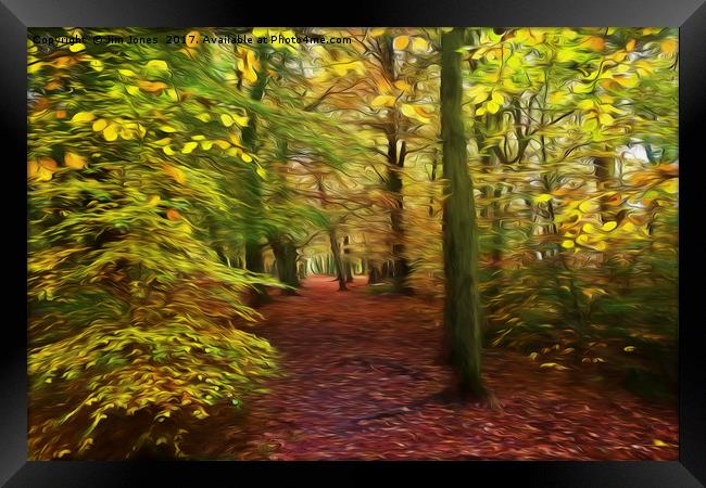 Walk in the Enchanted Forest Framed Print by Jim Jones