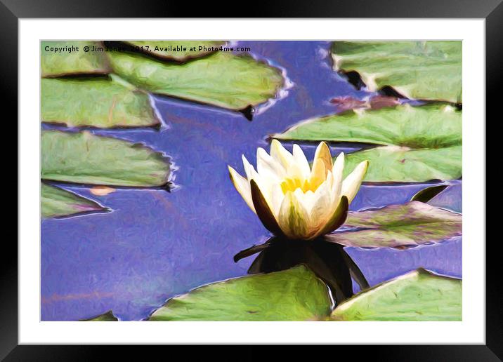 Artistic Water Lily Framed Mounted Print by Jim Jones