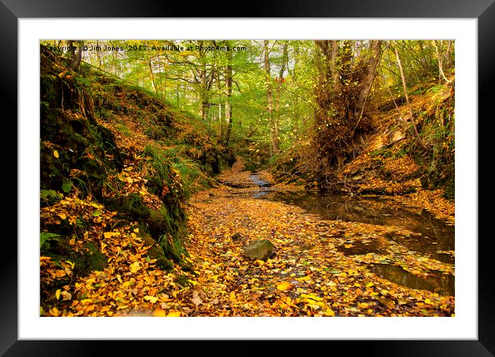 Woodland stream in Autumn Framed Mounted Print by Jim Jones