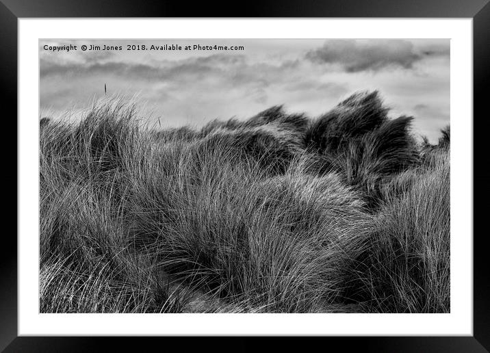 Sand Dunes in Black and White Framed Mounted Print by Jim Jones