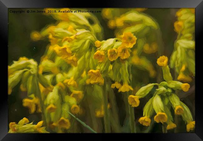 Cowslips with an Oil Painting filter Framed Print by Jim Jones