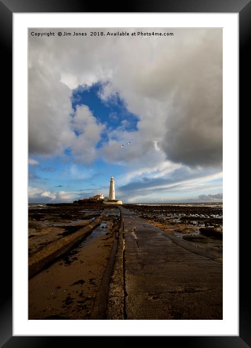 Morning at St Mary's Island (3) Framed Mounted Print by Jim Jones
