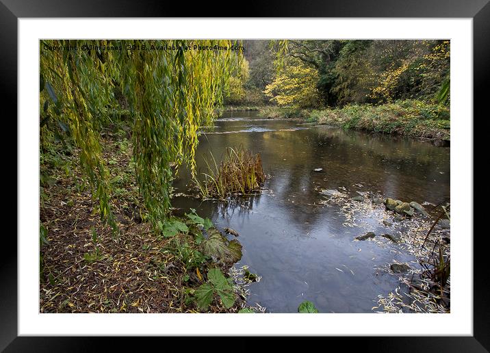 Tranquility Framed Mounted Print by Jim Jones