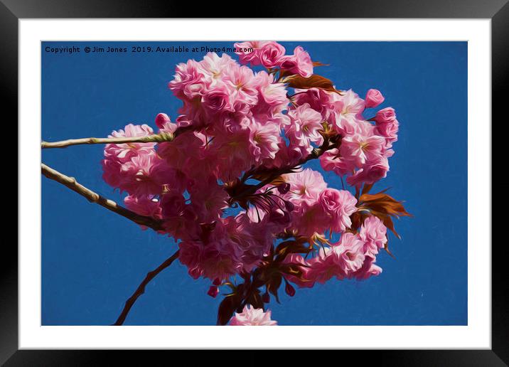 Artistic Pink Cherry Blossom Framed Mounted Print by Jim Jones