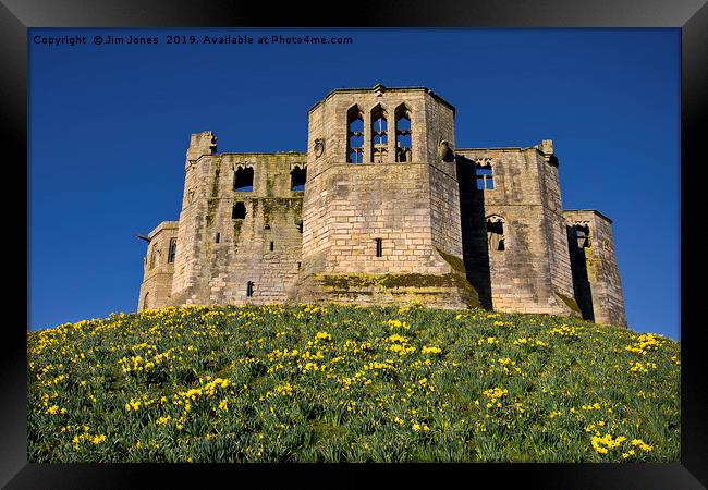 Warkworth Castle Keep in springtime Framed Print by Jim Jones