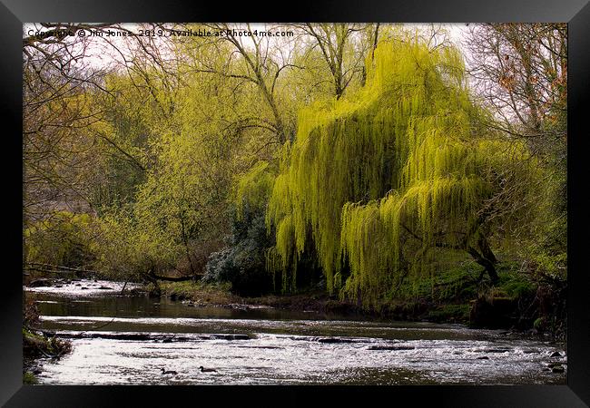 Weeping Willow on River Blyth Framed Print by Jim Jones